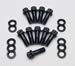 ARP Ring Gear Bolt Kits