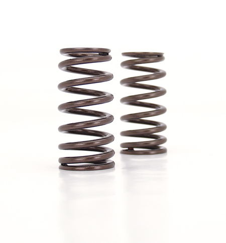 CCA Valve Spring Sets