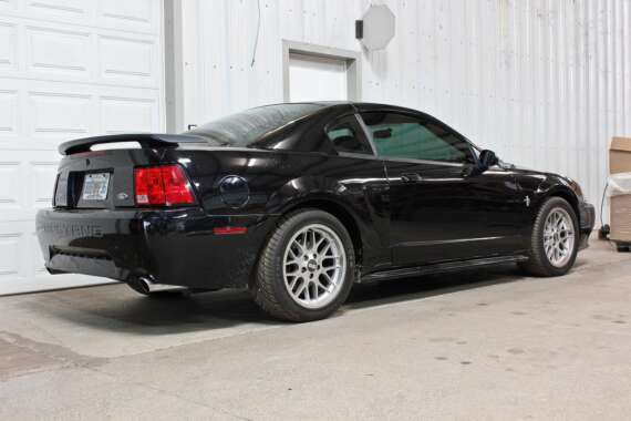 BMR Lowering Springs - Image 5