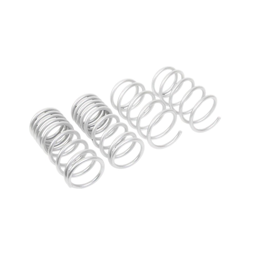 WL Performance Springs