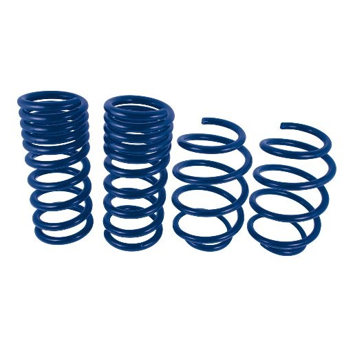 FORD PERFORMANCE 2015 MUSTANG GT 5.0L STREET LOWERING SPRINGS
