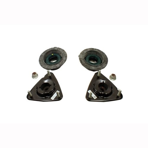 Struts Mounts